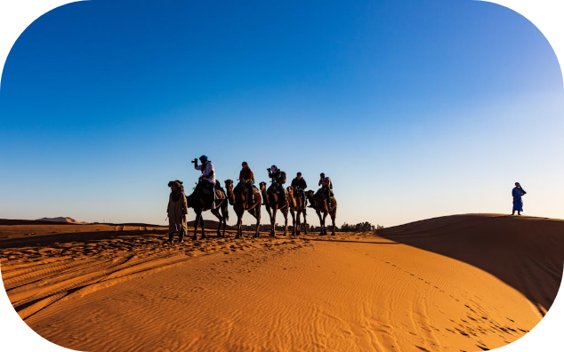 Desert Safari & Dune Bashing